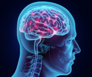 brain_1200x628 brain_1200x628